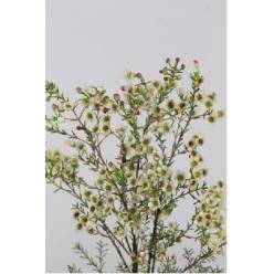 Flor Cera Hol. Grace 60cm 35gr Bl. "T25"