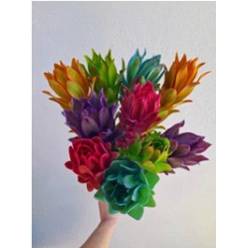 Leucadendro Tintado Mixto 50cm