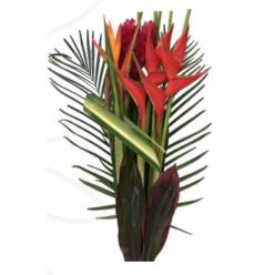 Buquet Mixto Caribe HRO (7 Dias - 2)