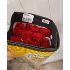 Rosa Col. Freedom 70cm "GHA" (7 Dias - 2)