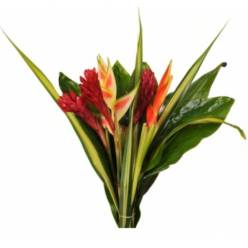 Buquet Col. Tropical N5 (7 Dias - 2)