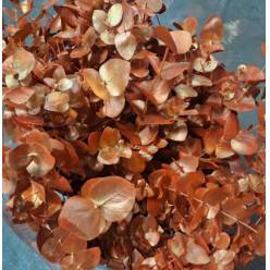 Eucalipto Cinerea Pintado "200gr" Naranja Metal