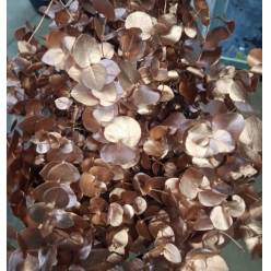 Eucalipto Cinerea Pintado "200gr" Copper Metal