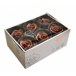 Rosa Preservada Verdissimo 6 Cabezas Mocha 5/5.5cm