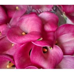 Calla Bordeaux Art 60cm