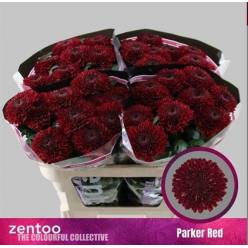 Uniflor Hol. Parker Red 80gr Rj.