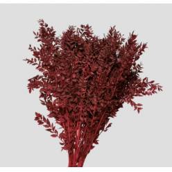 Wild Ruscus Estabilizado Bordeaux 80cm