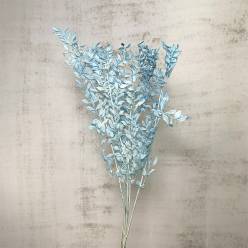 Wild Ruscus Preservado Azul 70cm "T5"