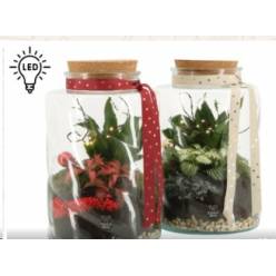 P. Compo Xmas 61791  17/25cm  "CC3" -Led-