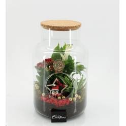 P. Compo Xmas Terrarium 25223 19/30cm  "CC2"