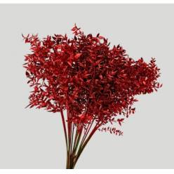 Ruscus Wild Brillantina Rojo 70cm "T25"