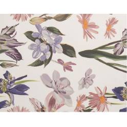 Bobina Celofan Transparente Iris 80x40m