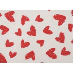 Bobina Celofan Lovepois Blanco 70x50m