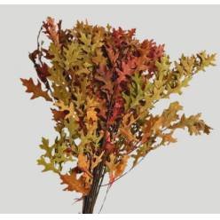 Roble Preservado Palustra Natural 90cm