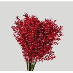 Ruscus Wild Brillantina Fucsia 70cm "T25"