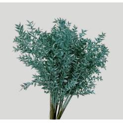 Ruscus Wild Brillantina Turquesa 70cm "T25"