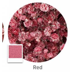 Paniculata Ecu. Purpurina Roja 750gr "T25"