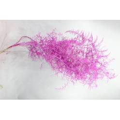 Esparraguera Silvestre Pintada Metal Cerise 120cm "T25"