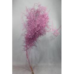 Esparraguera Silvestre Pintada Metal Pink 120cm "T25"