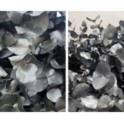 Eucalipto Cinerea Pintado "200gr" Acero Metal