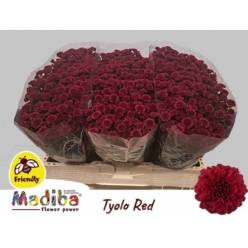 Santini Mad. Tyolo Red 120gr "T25" Rj.