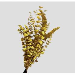 Eucalipto Cinerea Pintado "200gr" Yellow Metal (7 Dias - 2)