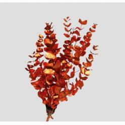 Eucalipto Cinerea Pintado "200gr" Naranja Metal (7 Dias - 2)