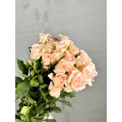 Ramificada Sweet Sara 50cm (7 Dias - 2)