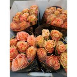 Rosa Hol. Love Pearl@ 50cm x10 (7 Dias - 2)