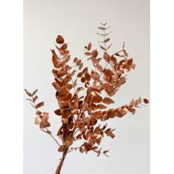 Eucalipto Cinerea Pintado "200gr" Cobre Metal (7 Dias - 2)