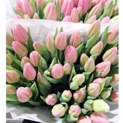 Tulipan Italia Milkshake Rs.