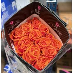 Rosa Ecu. Carnelian 60cm Nj.