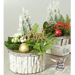 P. Composicin Kamerpl Navidad 21/40 "CC2"