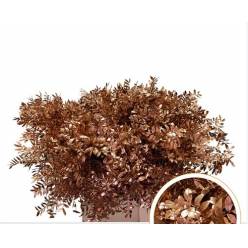 Mata Lentisco Pint. Cobre 50cm "T50"