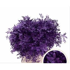 Mata Lentisco Pint. Morado 50cm "T50"