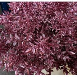 Ruscus Wild Brillantina Pink 70cm "T25"
