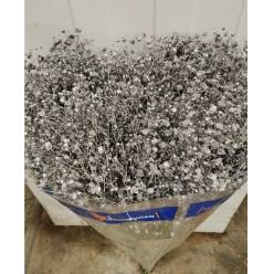 Paniculata Ecu. Tint. Silver 750gr "T25"