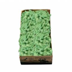 Caja Musgo Preservado Verde Mint 500g