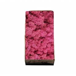 Caja Musgo Preservado Erika 500g