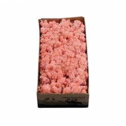 Caja Musgo Preservado Rosa 500g