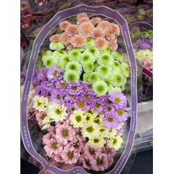 Santini Mixta PP Pastel 1100gr "T25"