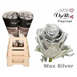 Rosa Hol. Cera Plata 60cm "Vip R."