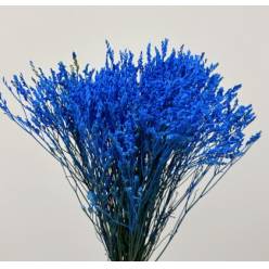 Limonium Col. Pintado Sky Blue 70cm (7 Dias - 2�)