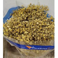 Paniculata Ecu. Tint. Gold Metallic 750gr "T25" (7 Dias - 2�)