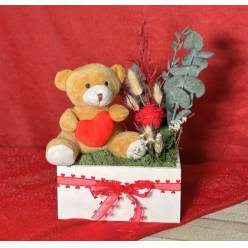 Box Bear 11.5x21x10Hcm "T5"