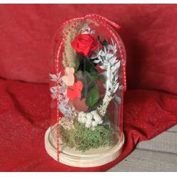 Cupula Sweety �15x25Hcm "T6"