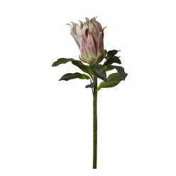 Protea Nerifolia Artificial 65cm