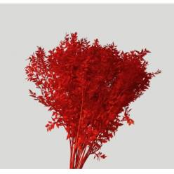 Wild Ruscus Estabilizado Orange 70cm