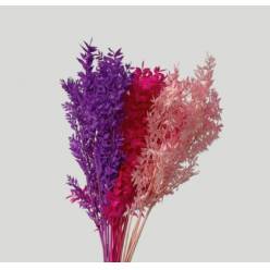 Wild Ruscus Estabilizado Lila Pink Mix 70cm