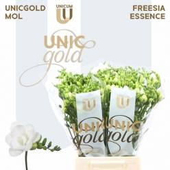 Fresia Hol. Essence 55cm 22gr "T50" Bl.